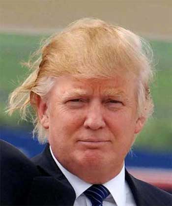 donald trump hair in wind. donald trump hair in wind.